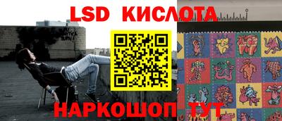 СК Ярославль