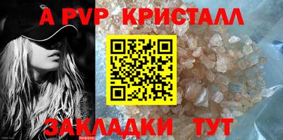 СК Ярославль