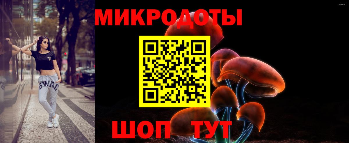 Владикавказ  Псилоцибиновые грибы мицелий  Вход с VPN  Псилоцибиновые грибы прущие грибы 